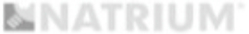 logo natrium - partner Electrics